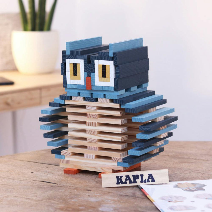 KAPLA Case