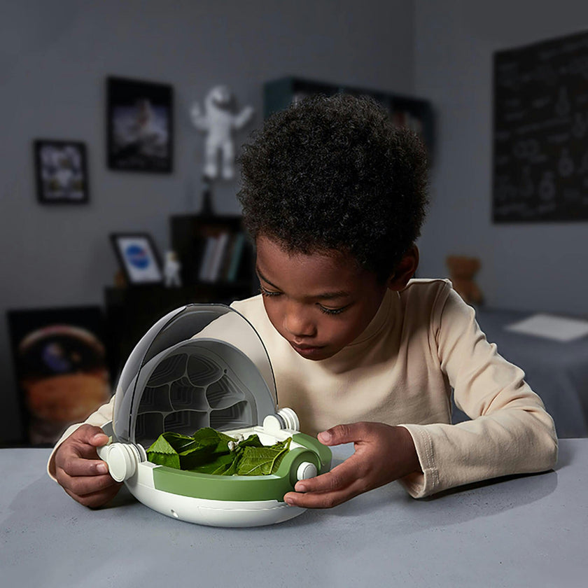 Hape: Science Can: Insects Growth Station