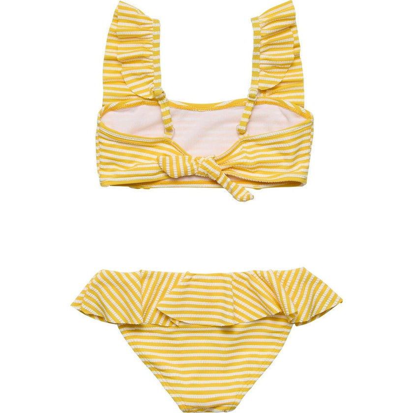 Sunshine Stripe Frilled Bikini