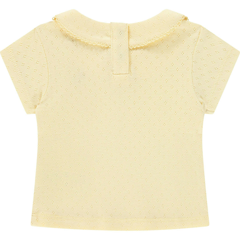 Pointelle Short Sleeve Collar Top