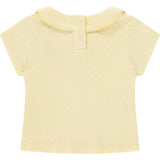 Pointelle Short Sleeve Collar Top