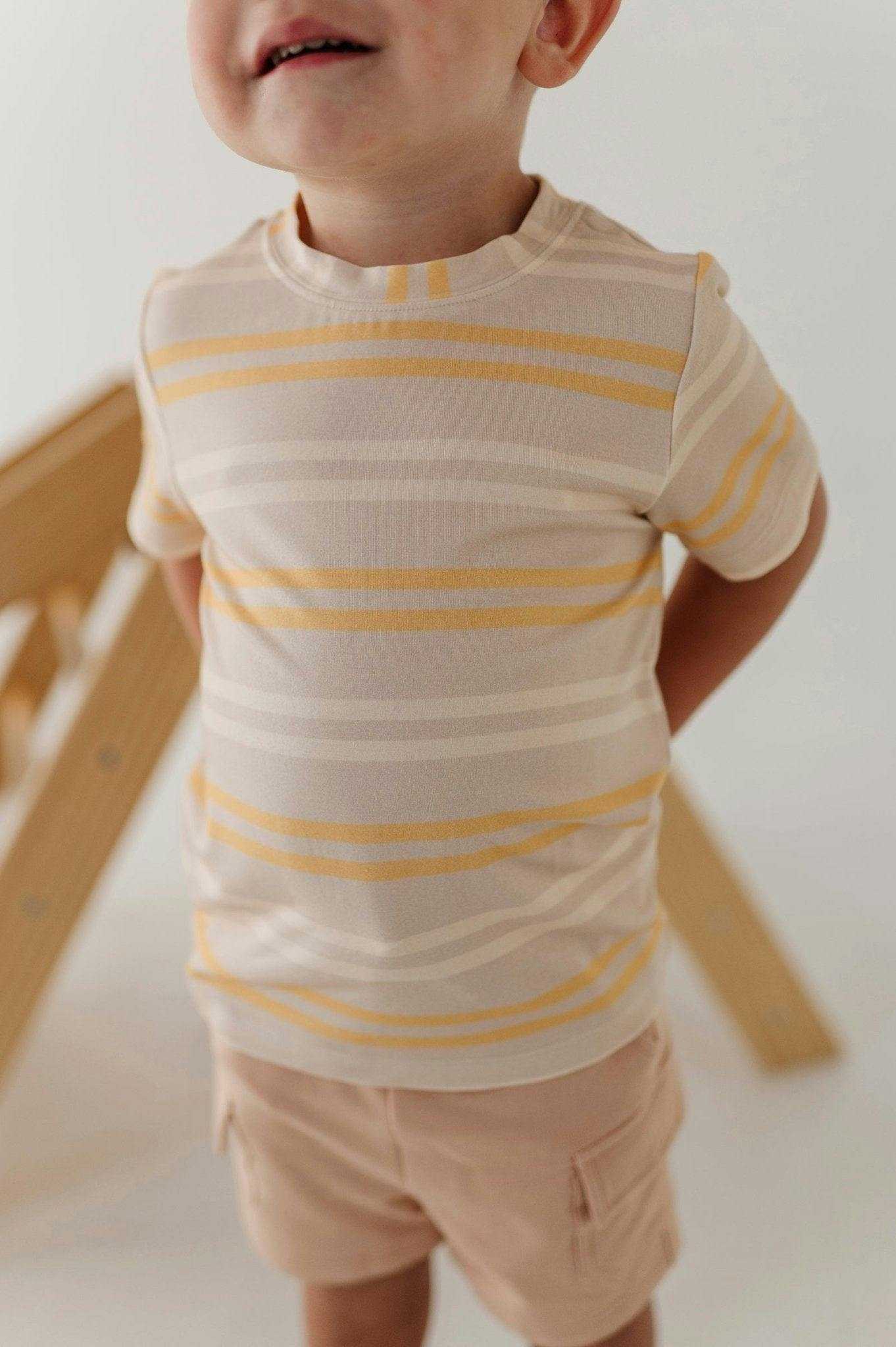 Boy's Short Sleeve Tee in Multi Stripe