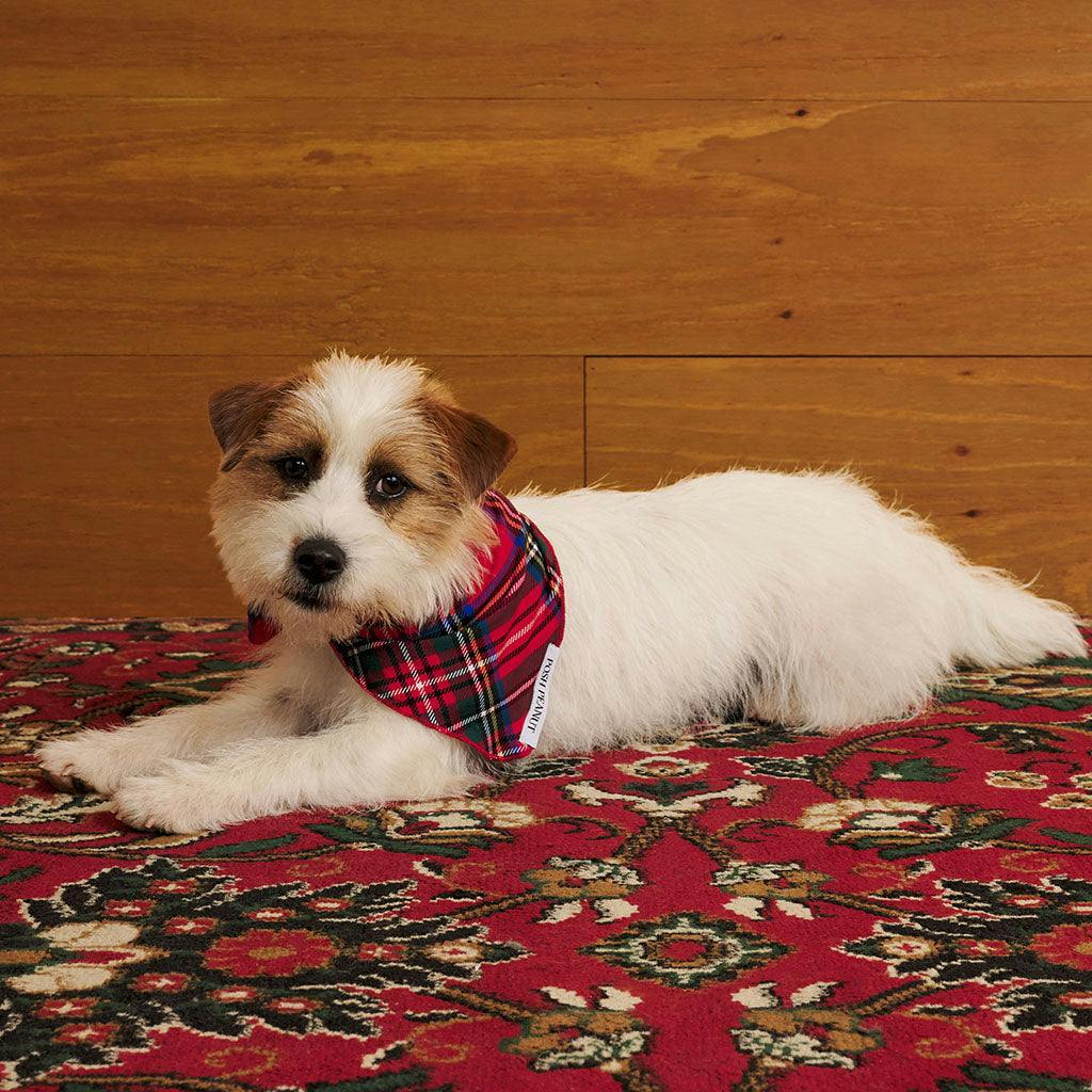 Red Tartan Plaid Dog Bandana