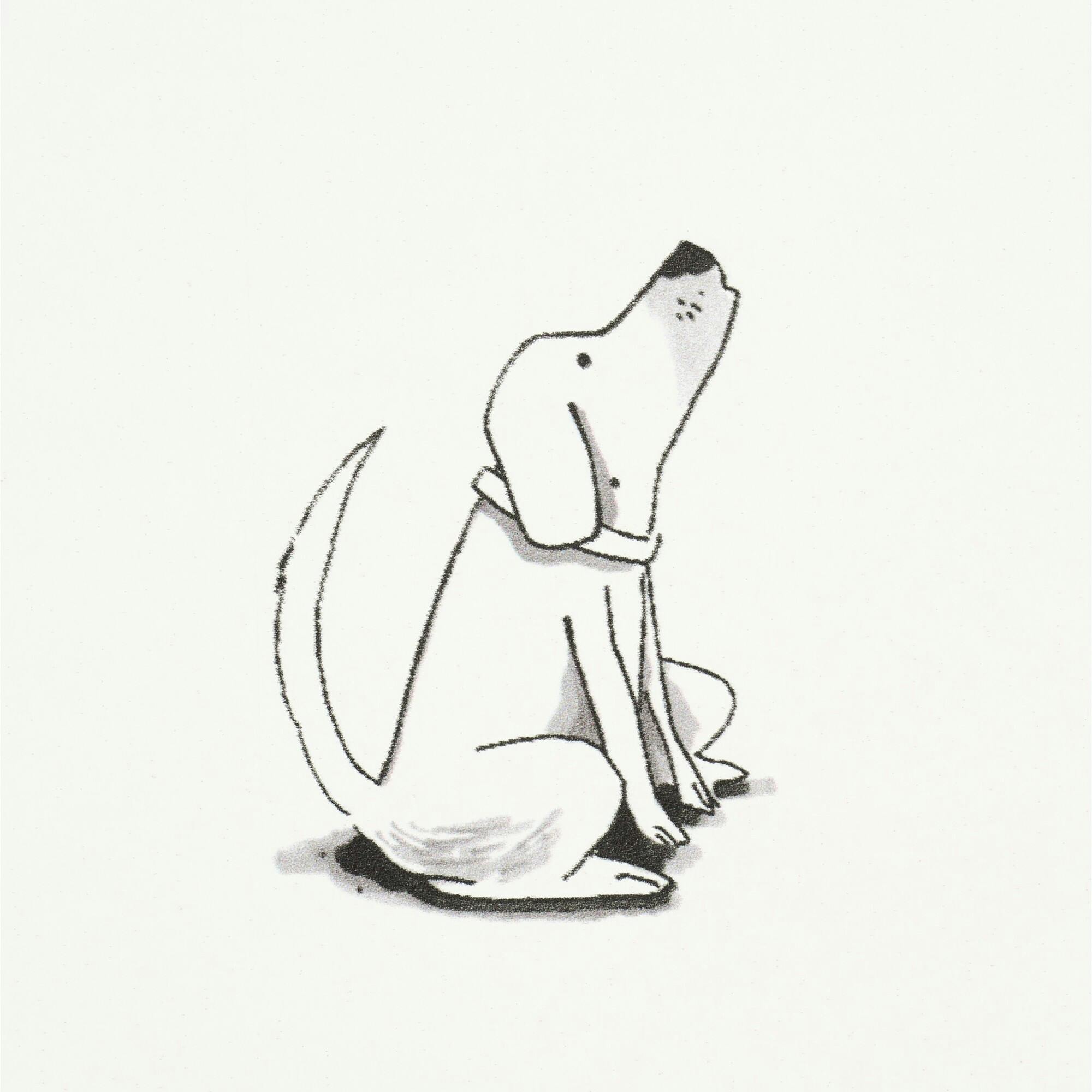 Good Dogs Everywhere Woven Wallpaper