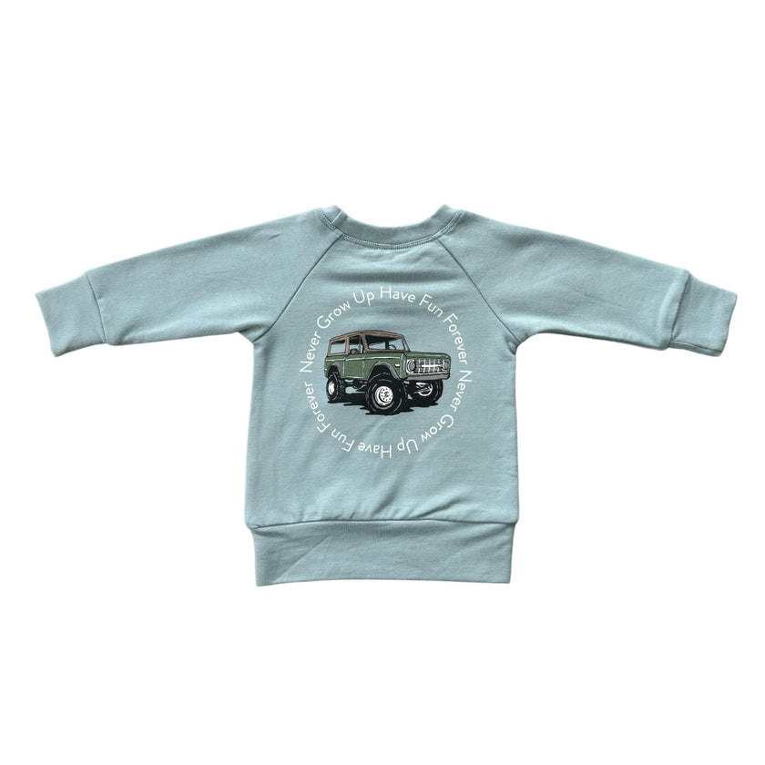 Boys Raglan Sweatshirt in Have Fun Forever