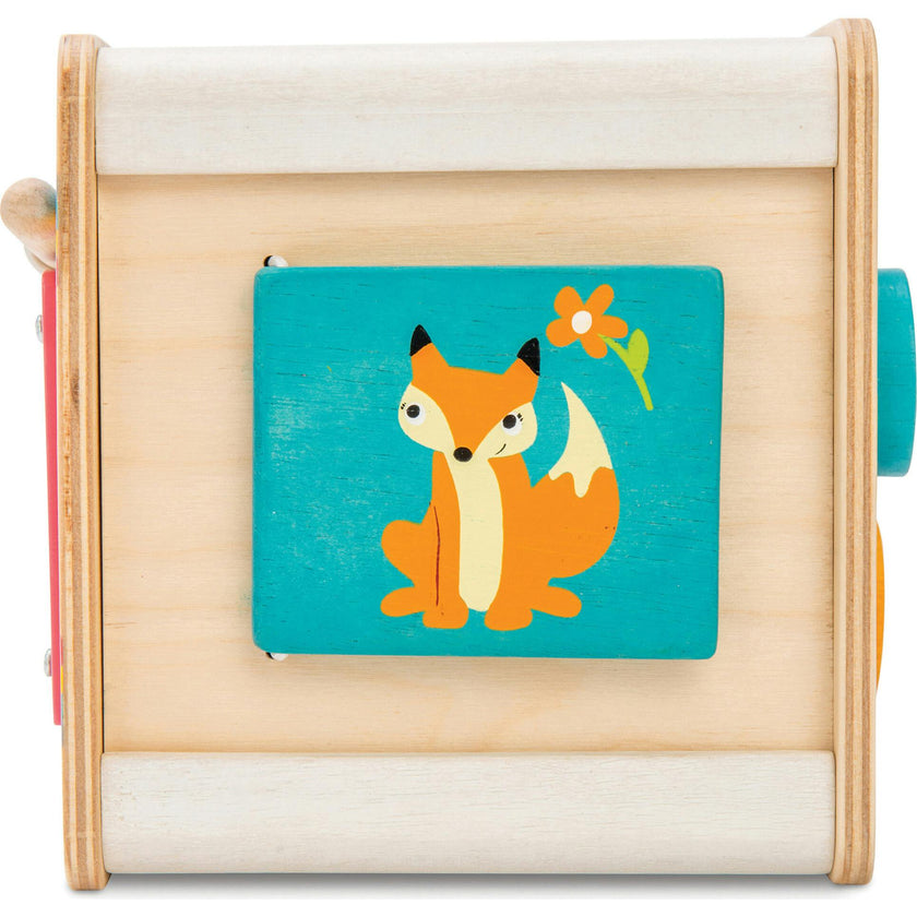 Petit Activity Cube