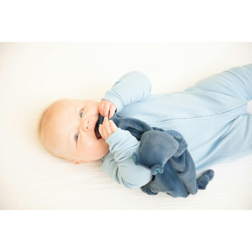Teether Buddy