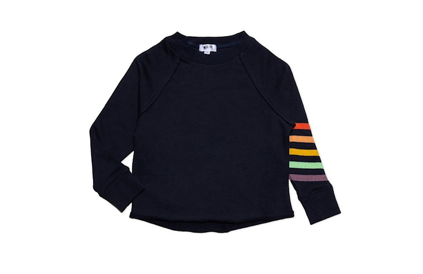 Navy Cropped Crew Neck With Rainbow Stripes