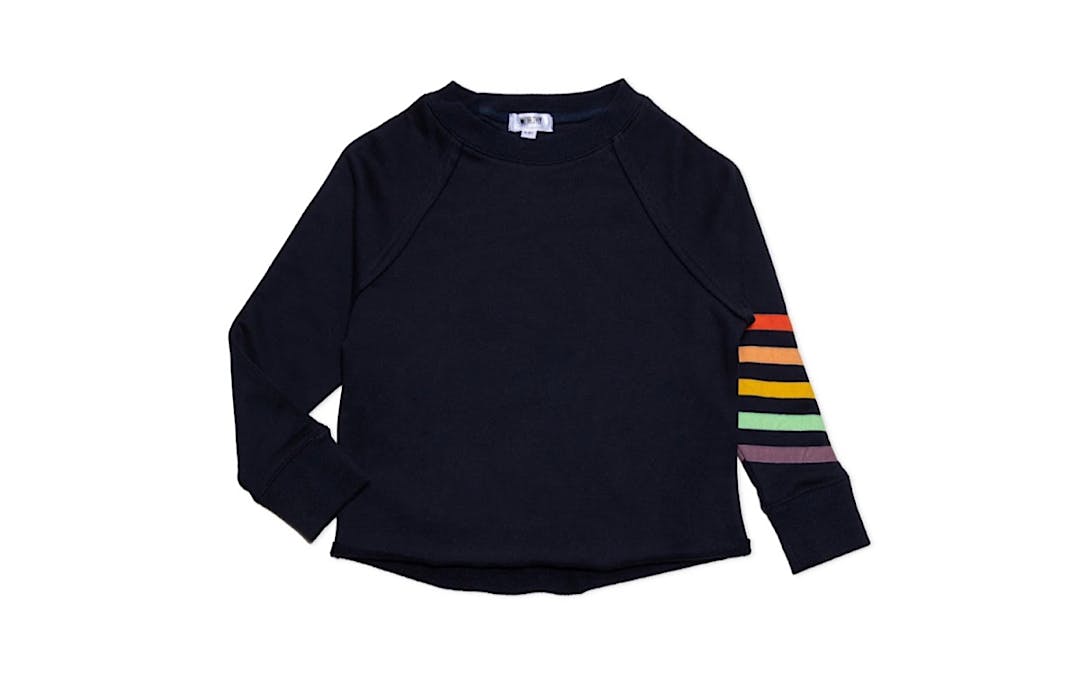 Navy Cropped Crew Neck With Rainbow Stripes