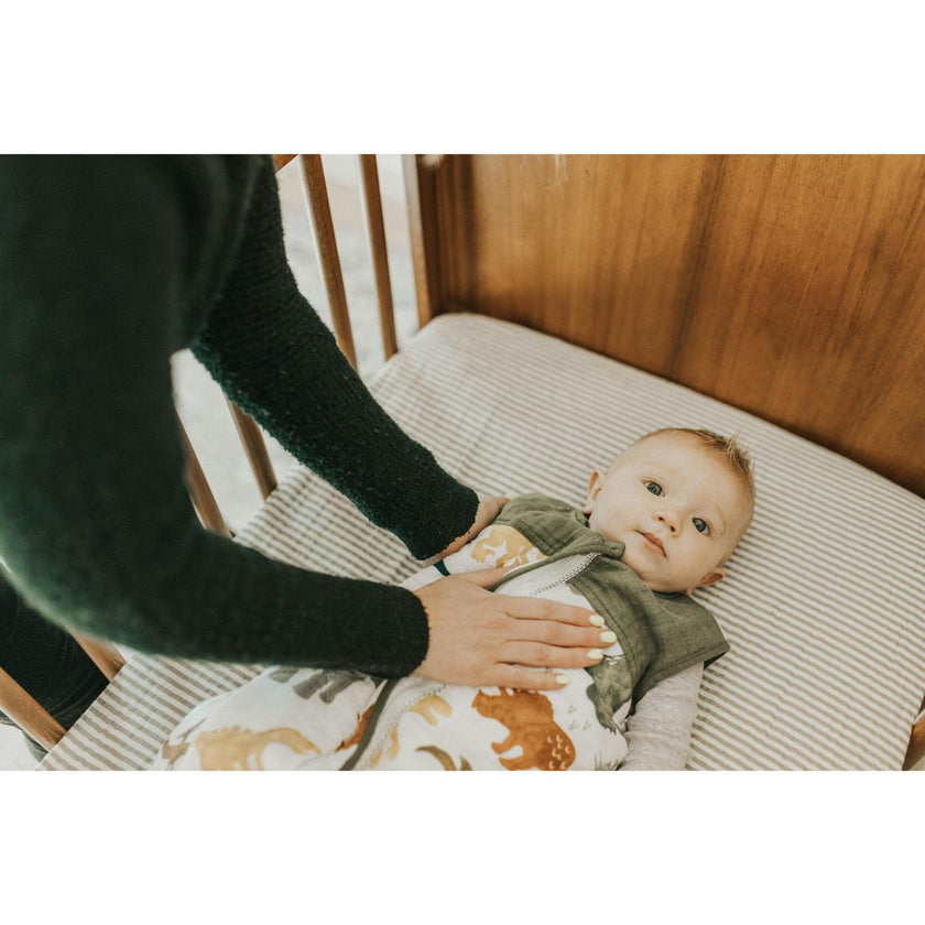 Cotton Muslin Quilted Sleep Bag - Dino Friends