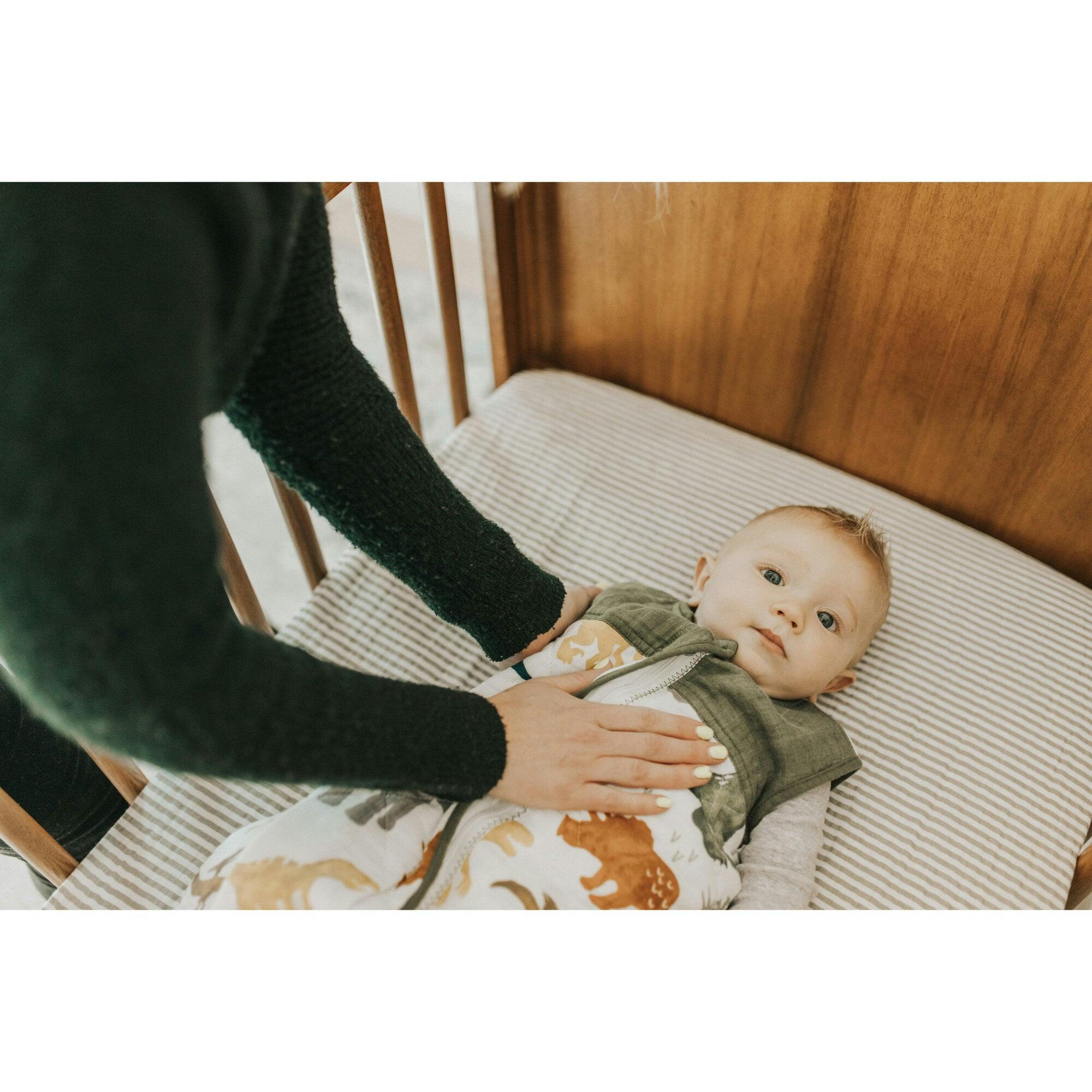 Cotton Muslin Quilted Sleep Bag - Dino Friends