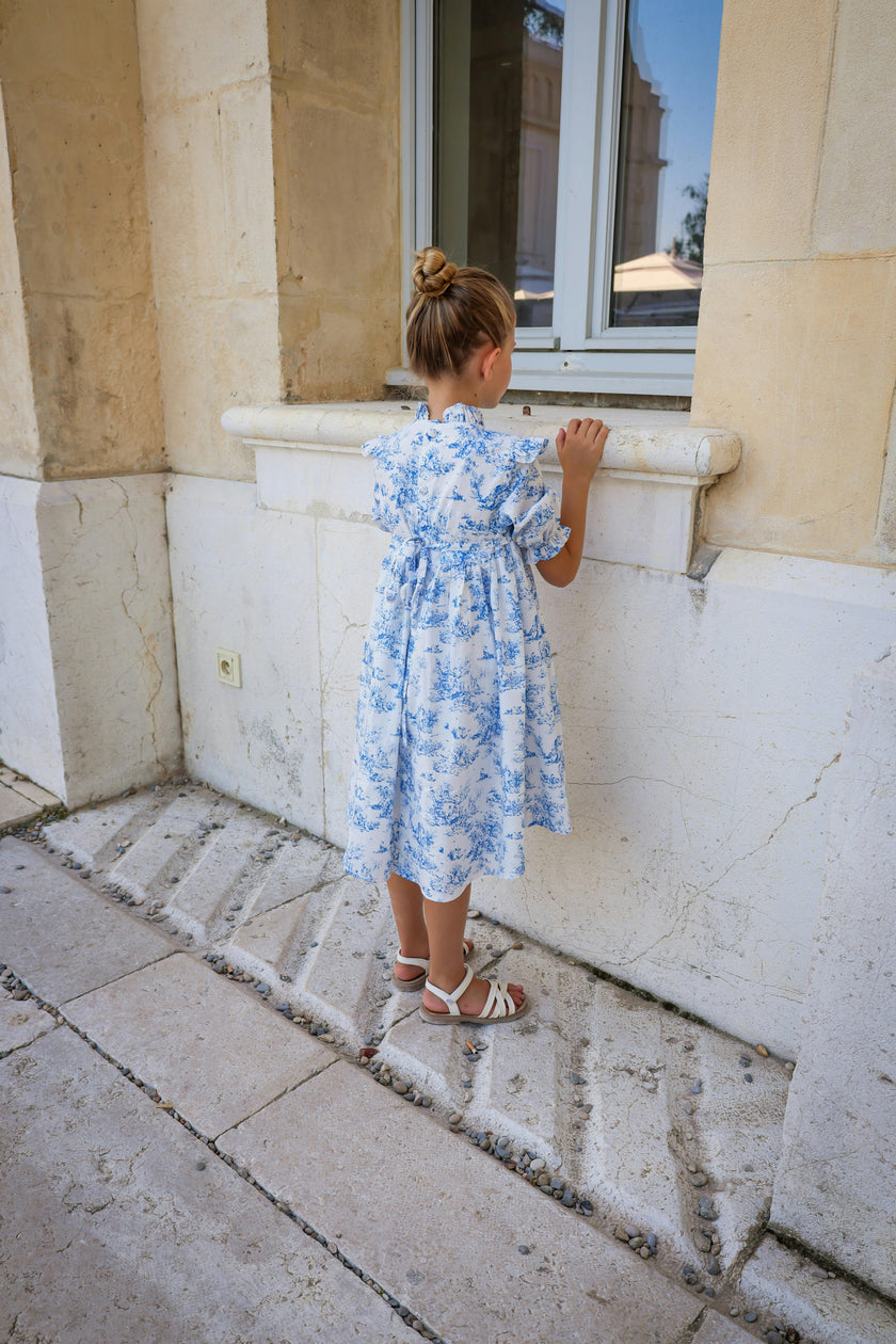 Aoki Blue Toile Dress | Short Sleeve