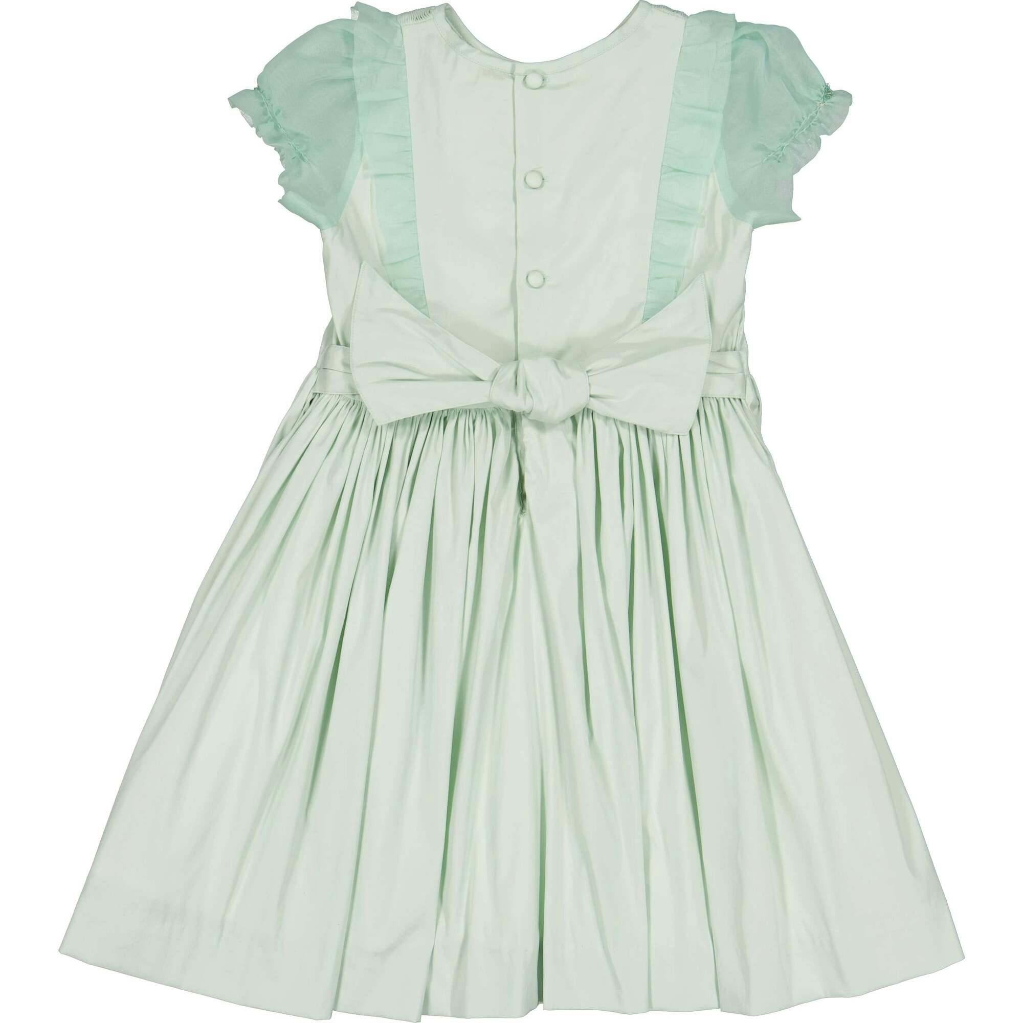 Camelia Mint Organza Sleeves Dress