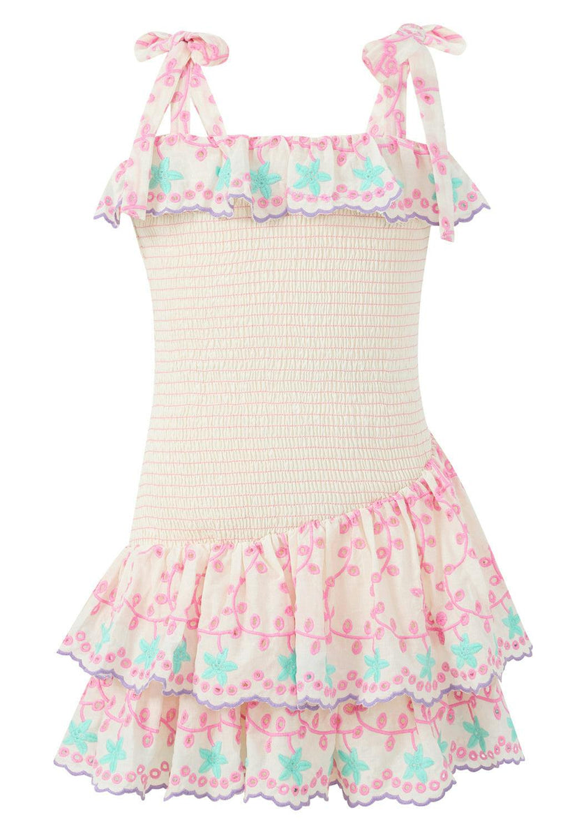 Alanna Shirred Embroidered Mini Dress