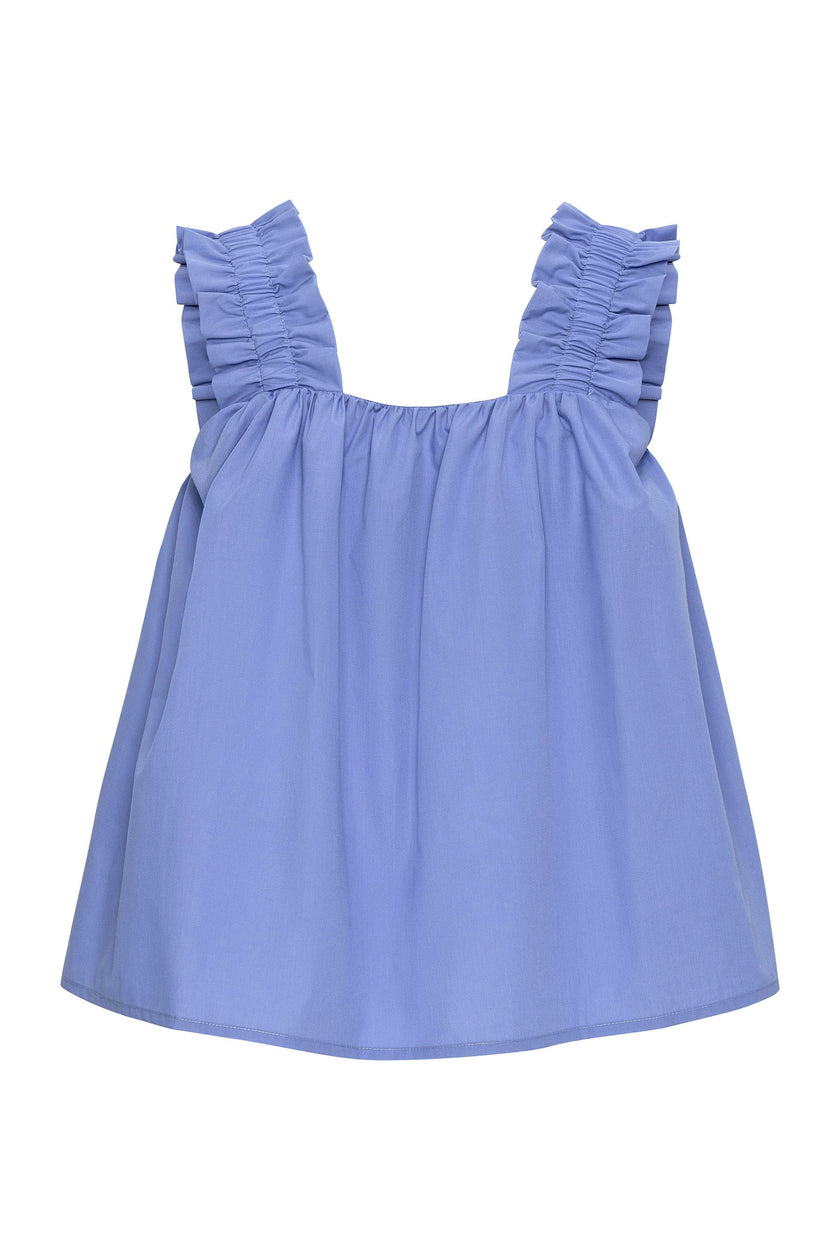 Holly Top Blueberry