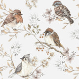 White & Gray Birds Wallpaper
