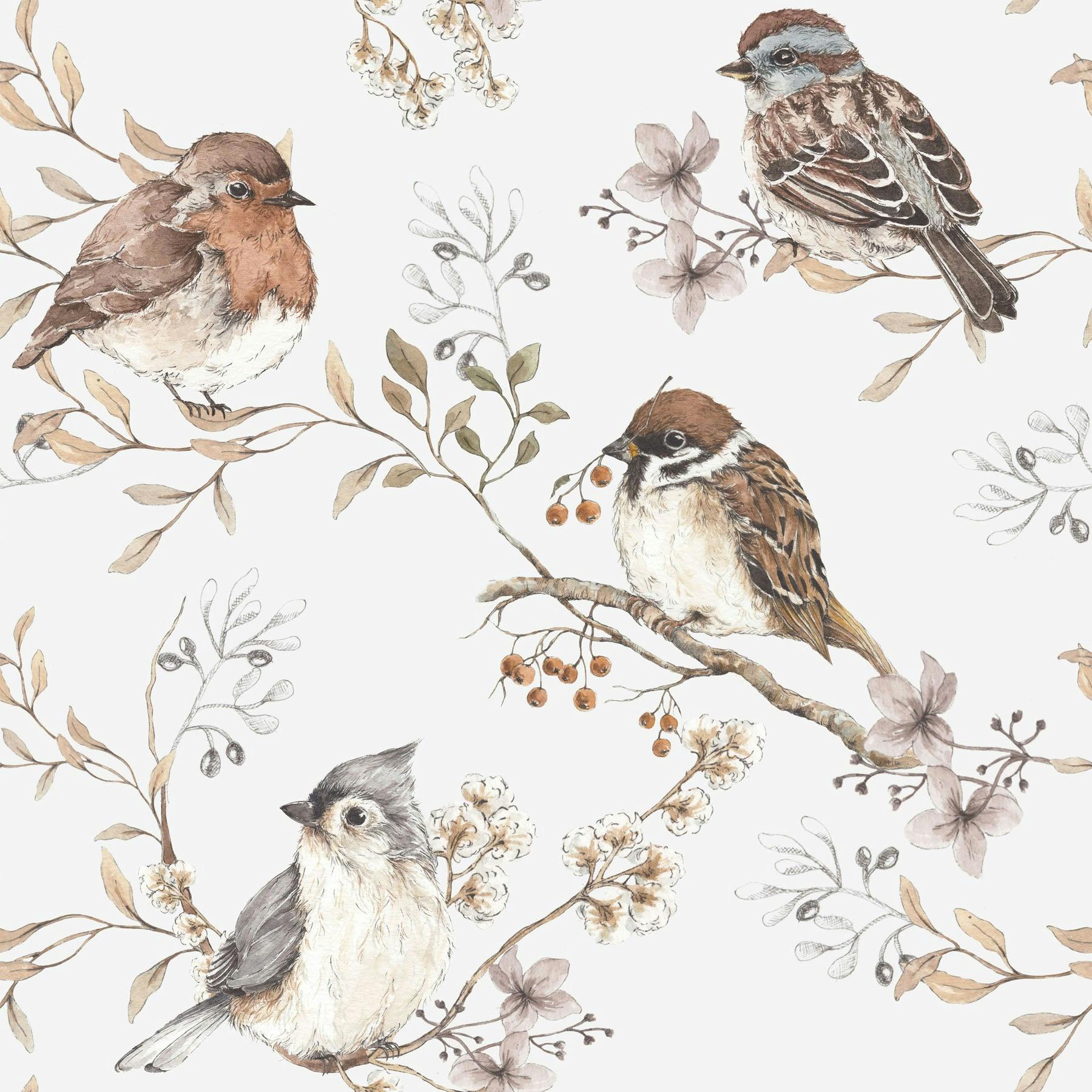 White & Gray Birds Wallpaper