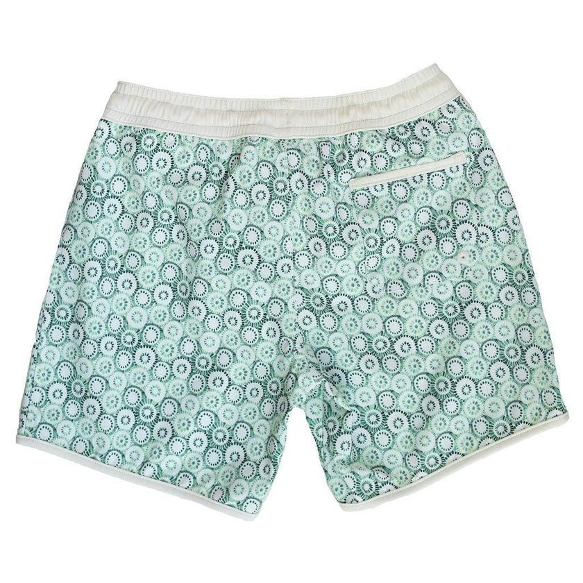 Swim Short Tommaso Jellyfish Print In Mint and Sage