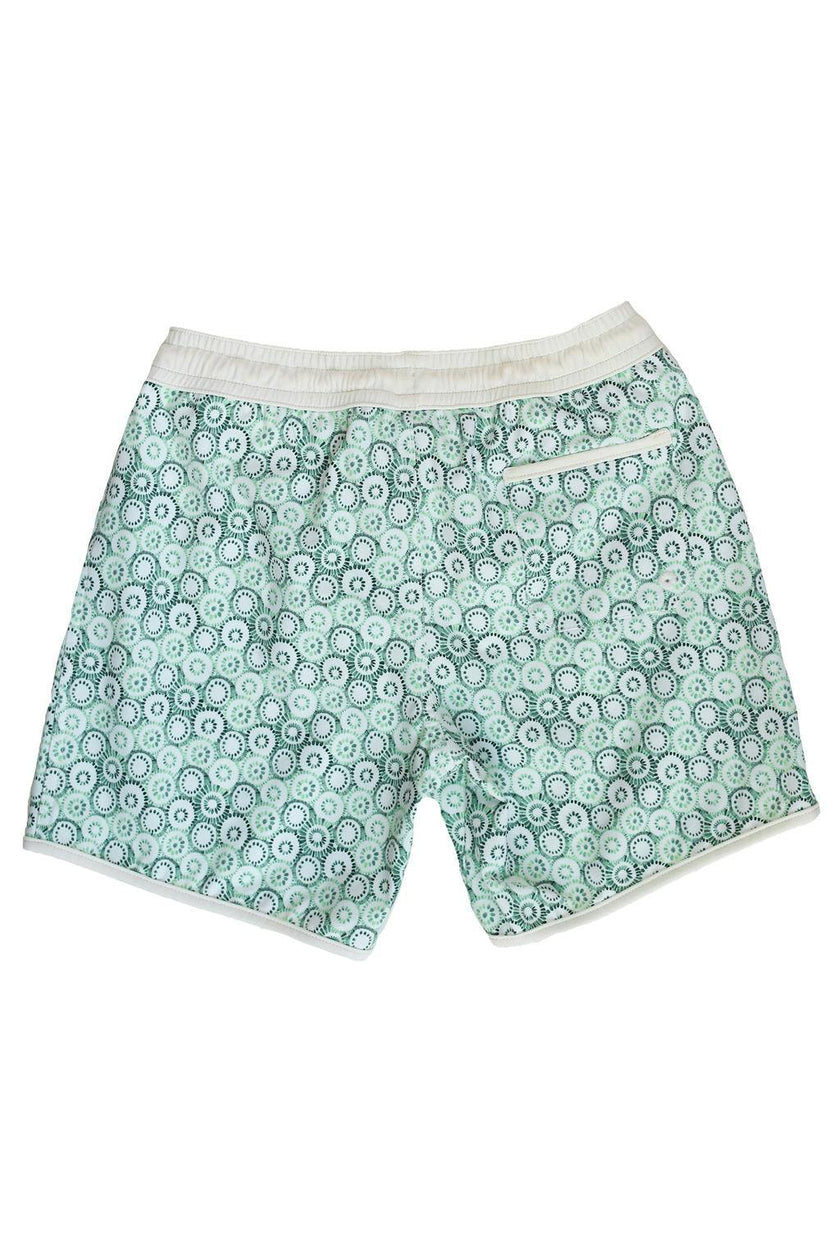 Swim Short Tommaso Jellyfish Print In Mint and Sage