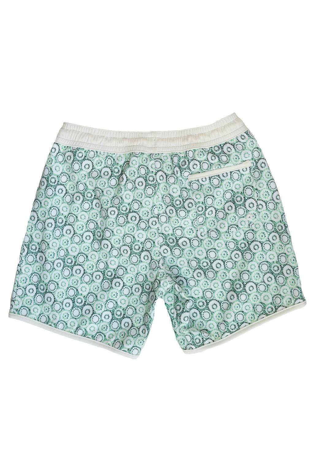 Swim Short Tommaso Jellyfish Print In Mint and Sage