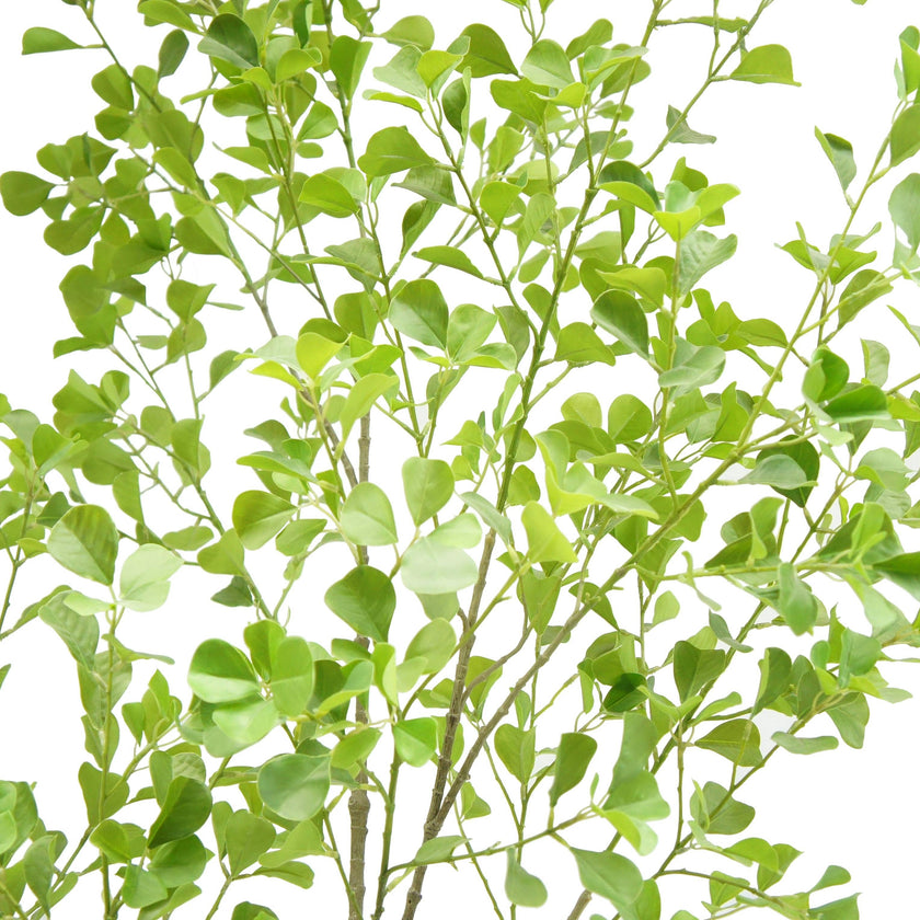 7' Artificial Heart Ficus Tree
