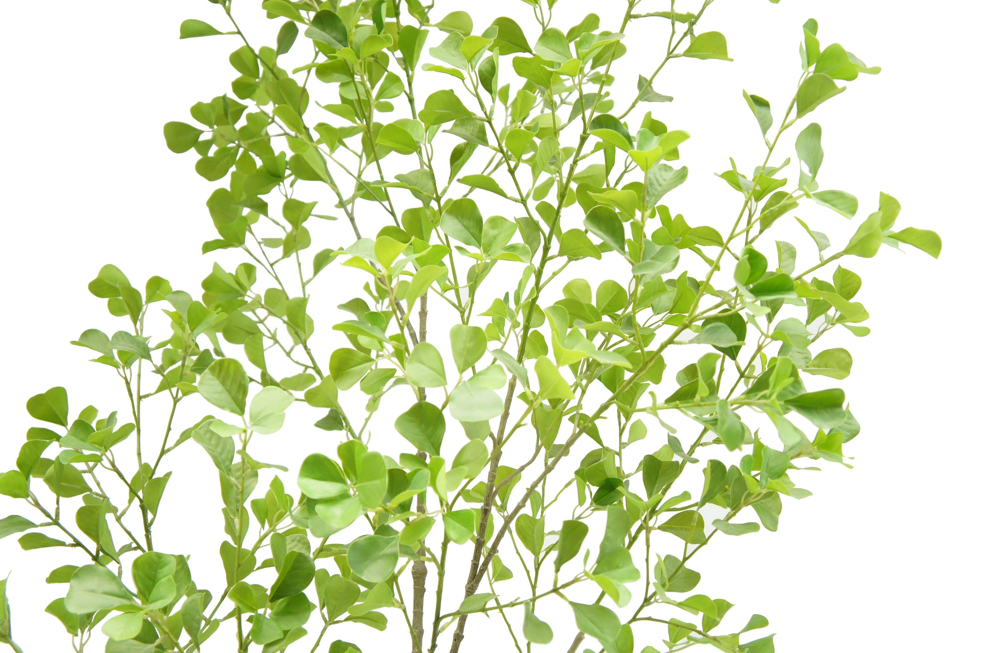 7' Artificial Heart Ficus Tree