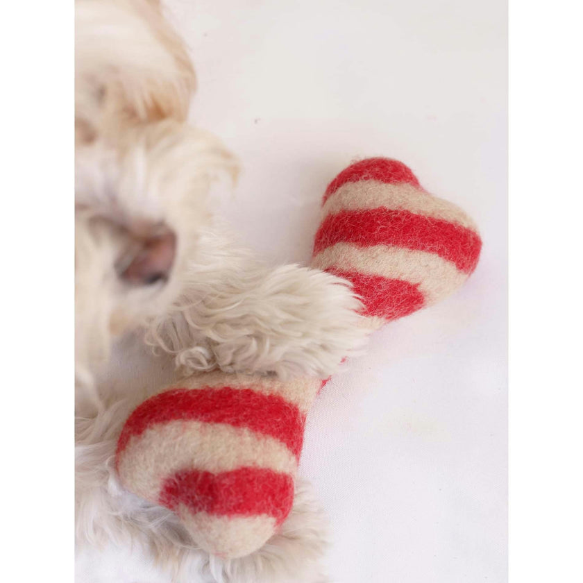 HOLIDAY WOOL BONES, Multi
