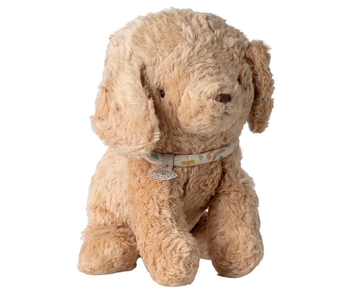 Puppy, Small - Dusty powder