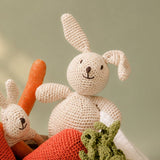 Bunny Plush Lovey 100% organic cotton