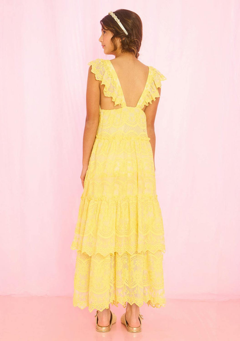 Kaia Lace Embroidered Maxi Dress