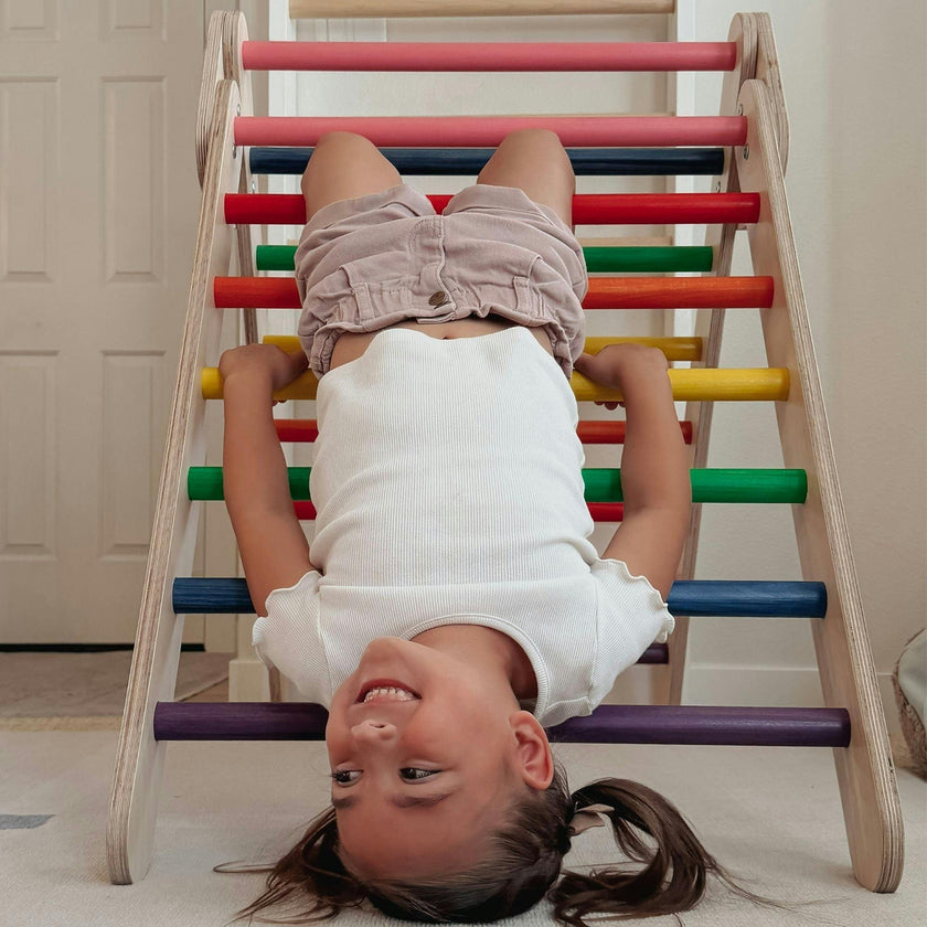 Classic Climber Playset