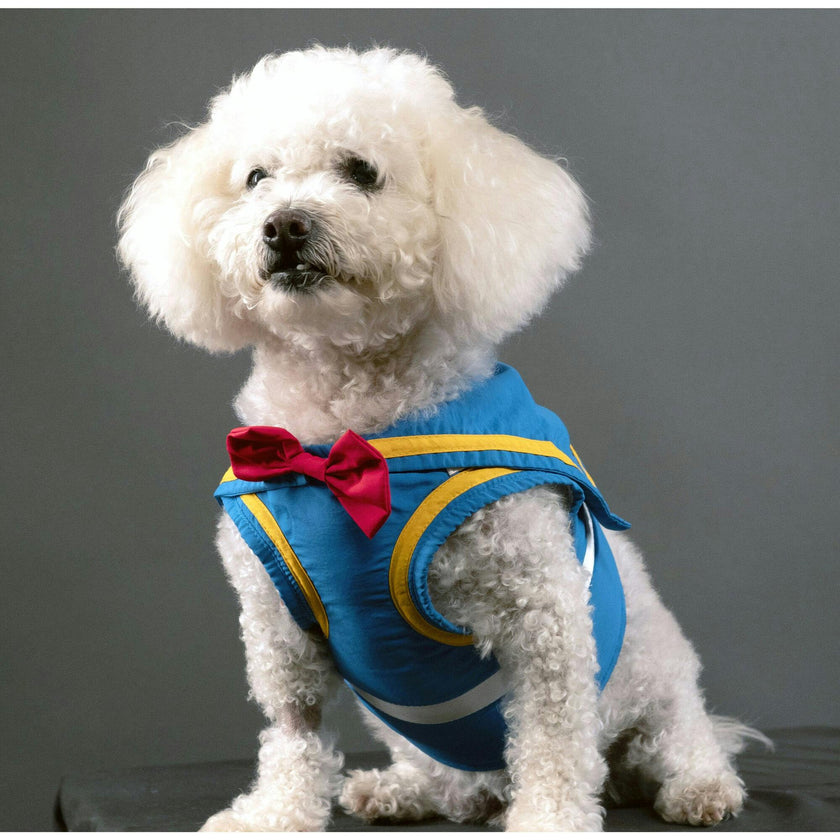 Disney Donald Harness, Blue