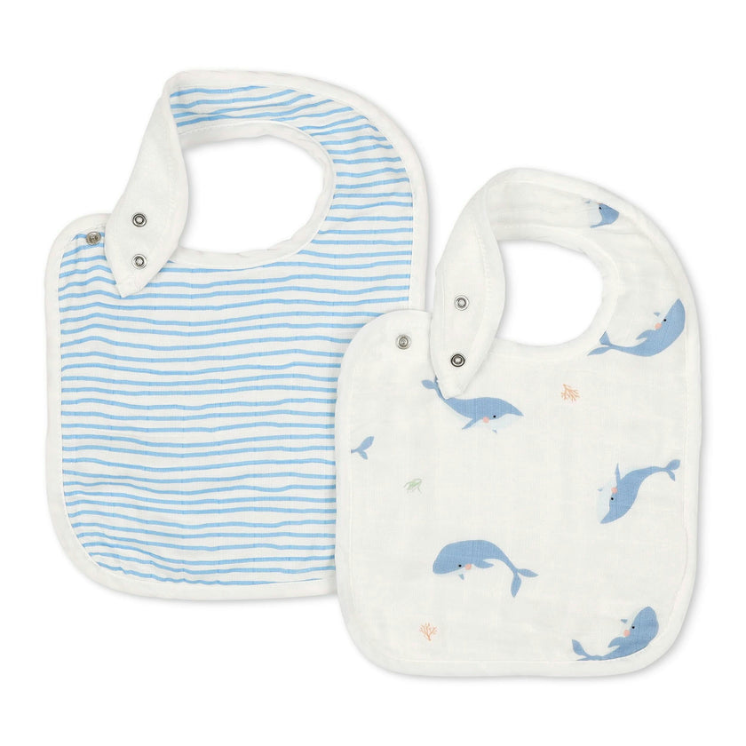 Bib Set
