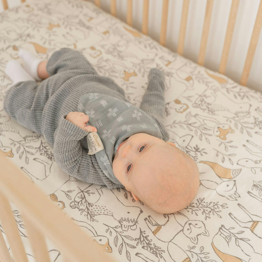 Ezra Woodland Cotton Bandana Baby Bib (3 Pack)