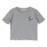 Grey Sequin Star Ribbed Top