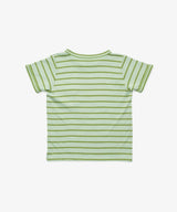 Willie T-Shirt, Palm Stripe