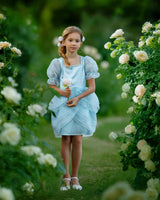 Sky Petal Princess Ruffle Blue Birthday Dress for Girls