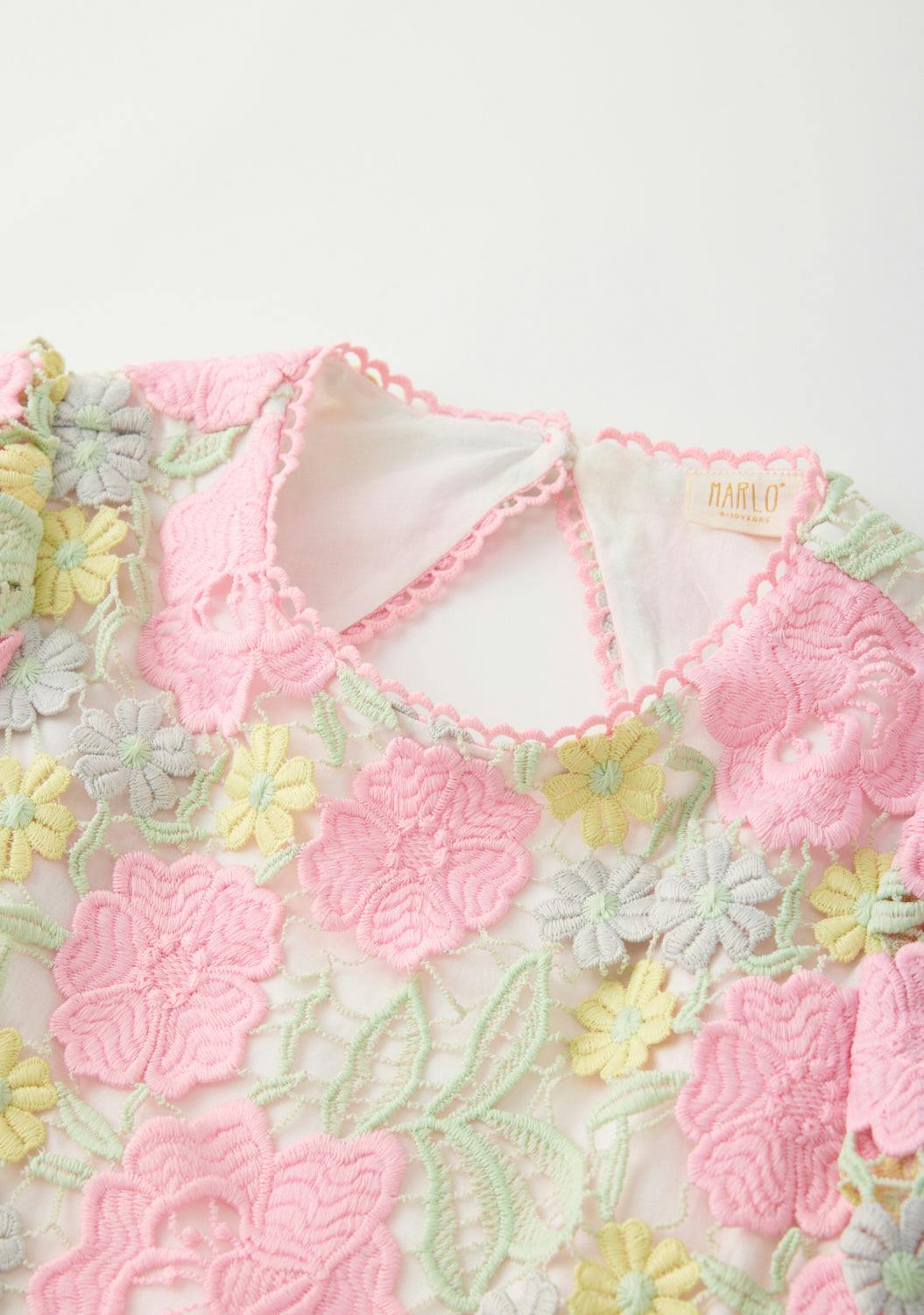 Estella Embroidered Mini Dress