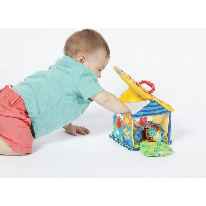Put & Peek Birdhouse
