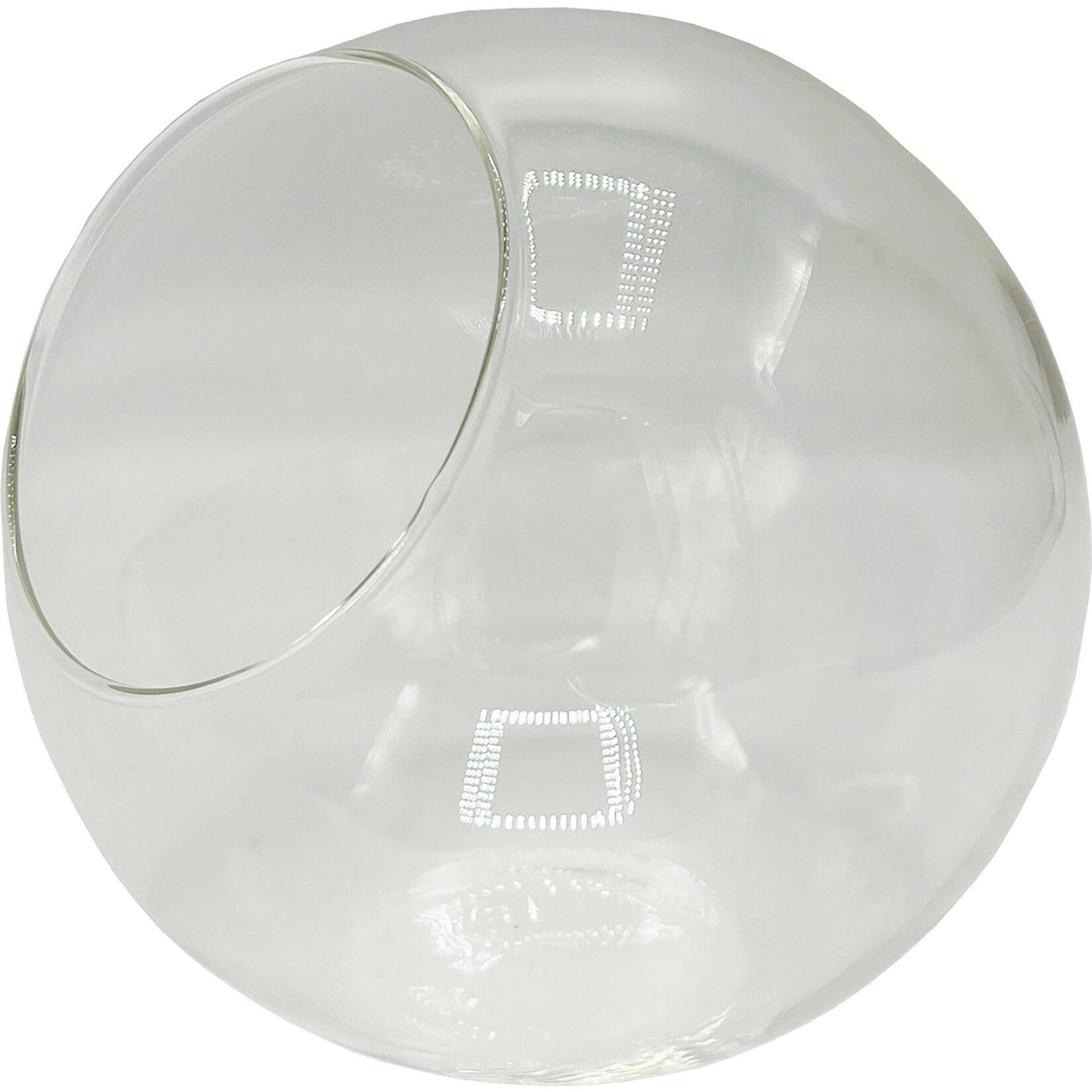 Glass Terrarium: Classic 5
