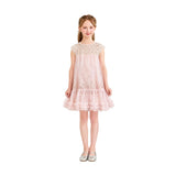 Pink Renoria Lace Sparkle Dress