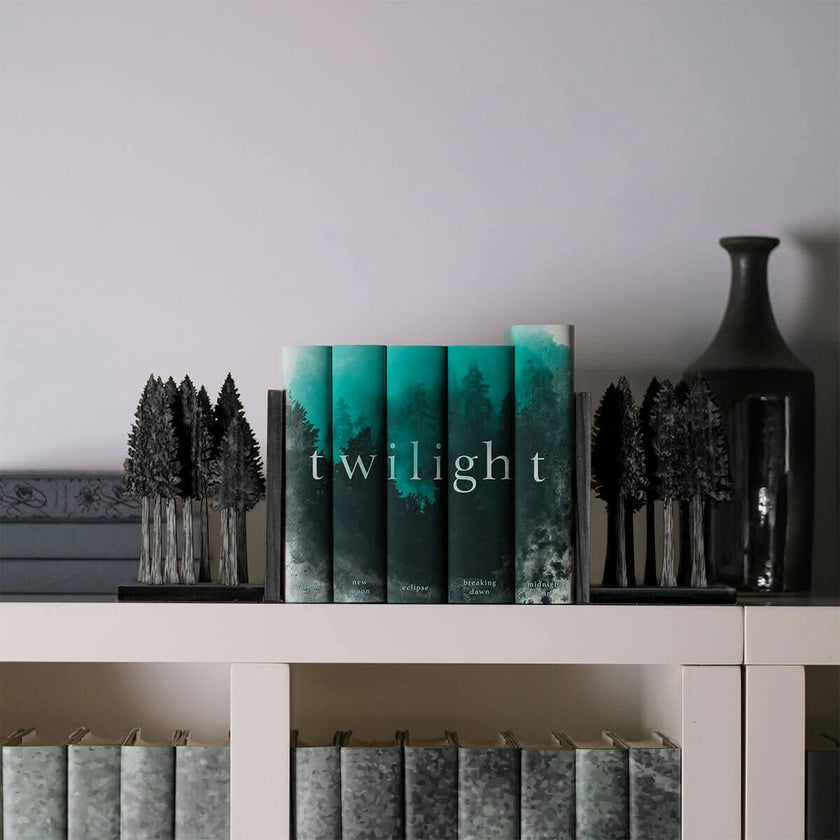 Twilight Saga by Stephenie Meyer Book Set