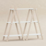 Babyletto Kids Dottie Bookcase
