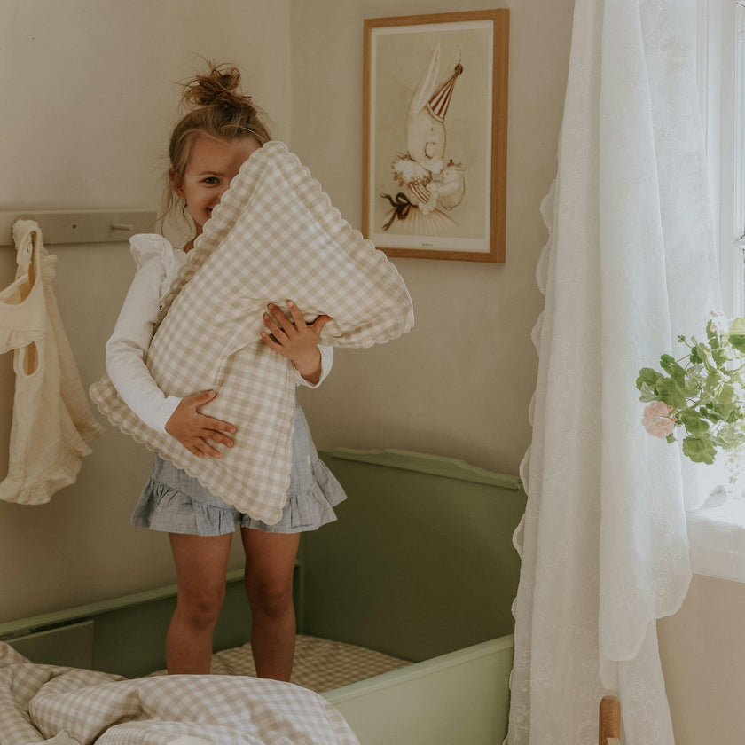 Picnic Gingham Toddler Pillow Set, Prints