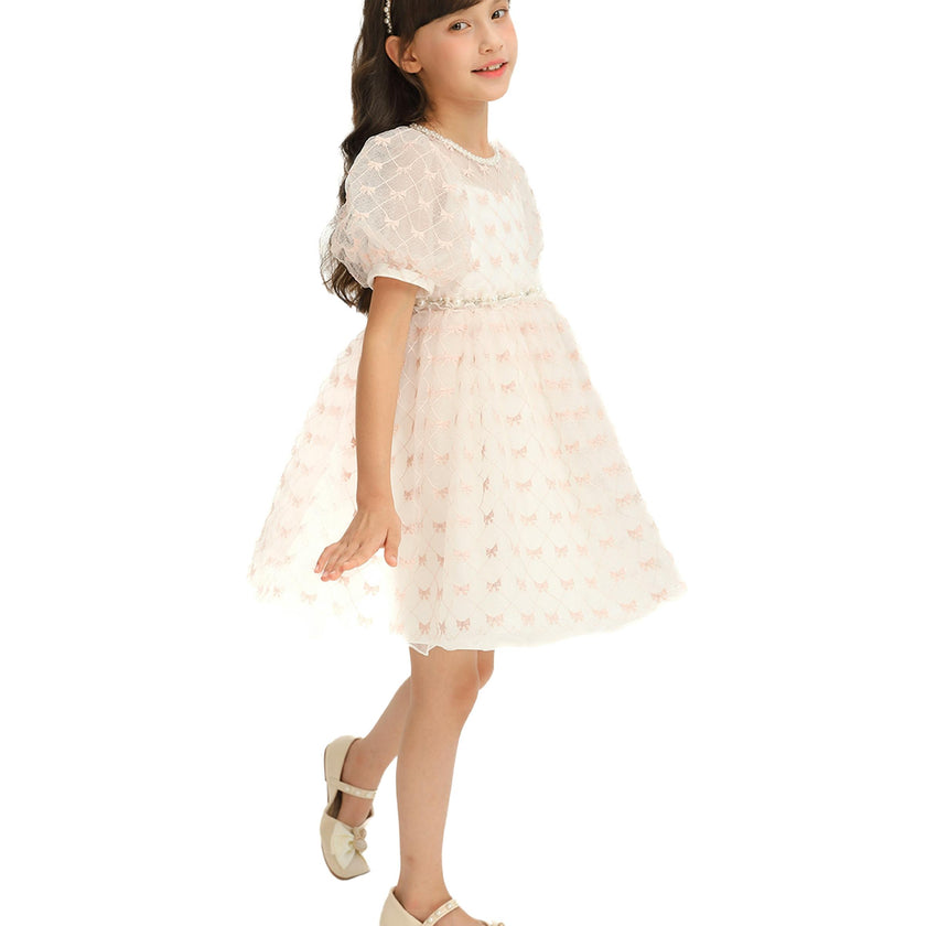 Ivory Pink Accented Tulle Fontana Dress