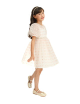 Ivory Pink Accented Tulle Fontana Dress
