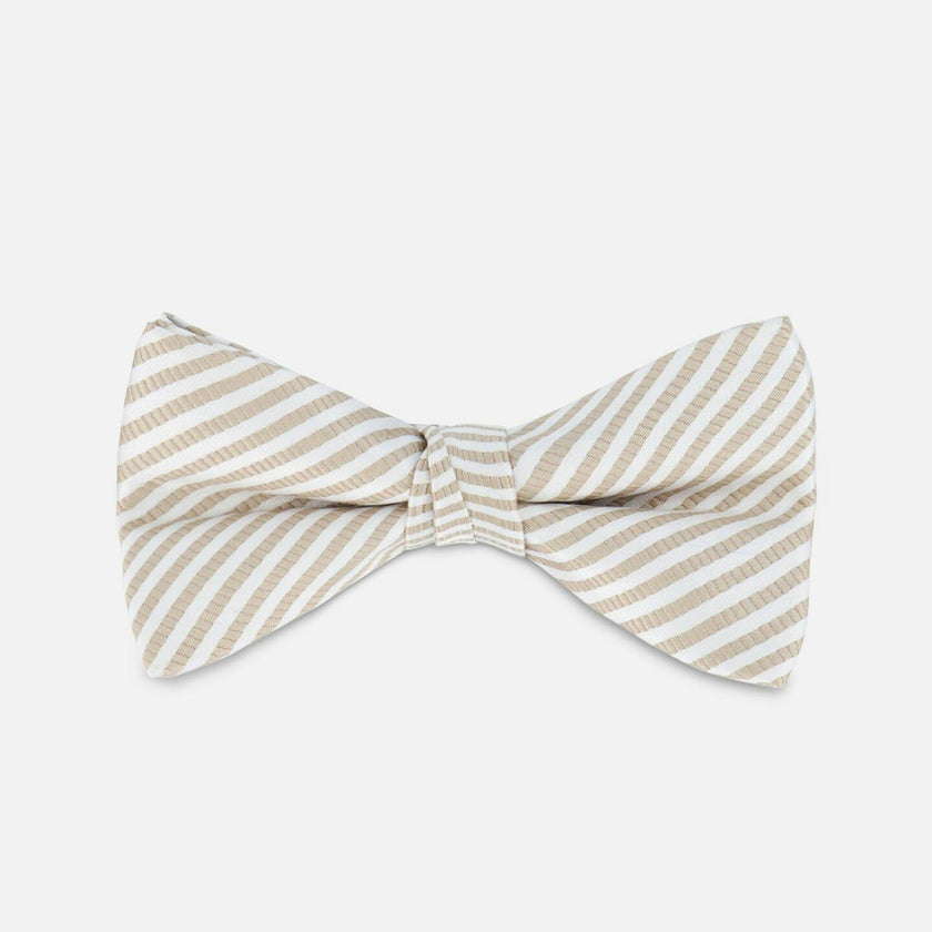 Bow Tie