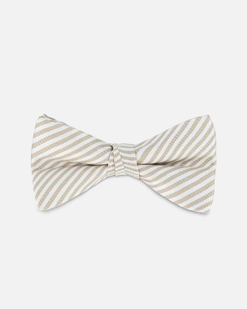 Bow Tie