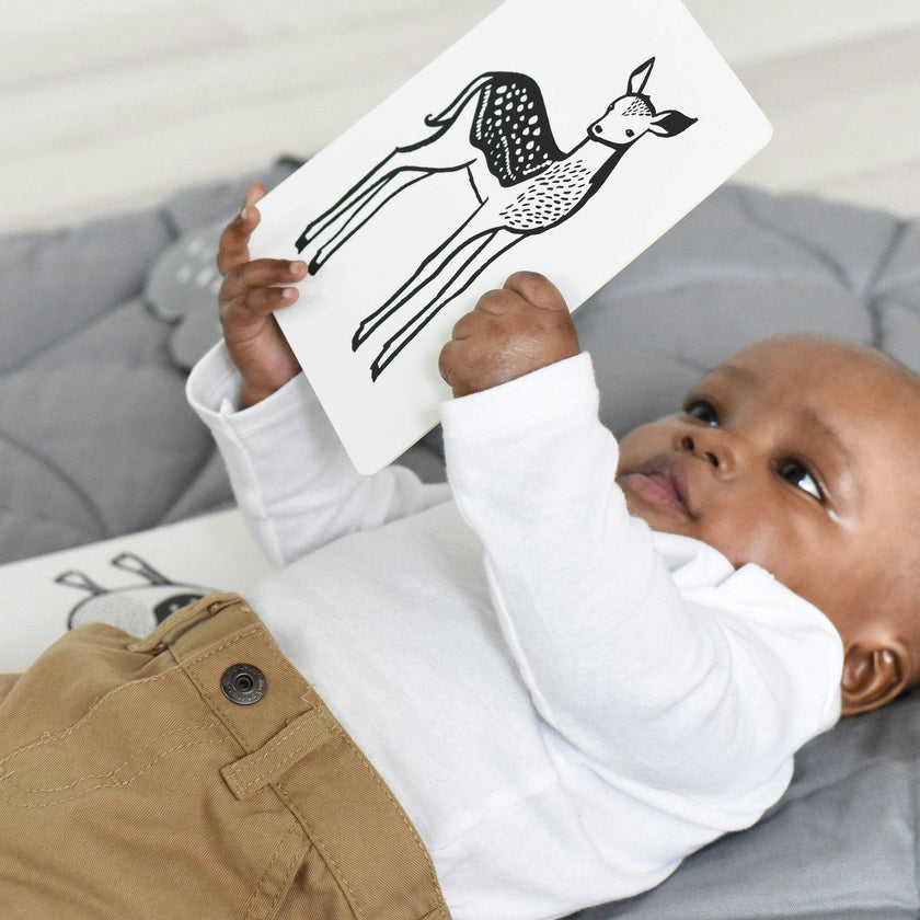 Rainforest - Art Cards for Baby