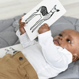 Safari Art Cards for Baby